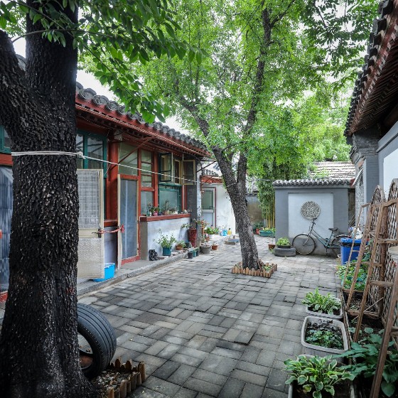 东城区东单仿古居家小院